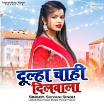 Dulha Chahi Dilwala (Shivani Singh)
